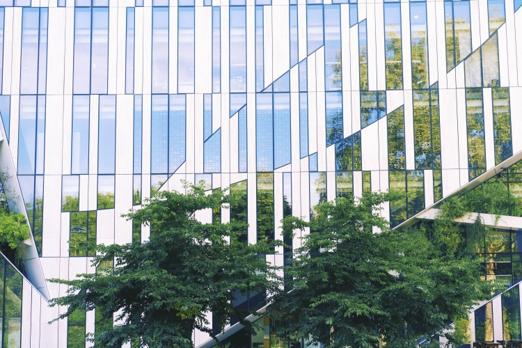 Forvis Mazars accompagne les acteurs de l’immobilier et du BTP dans un environnement en pleine mutation.