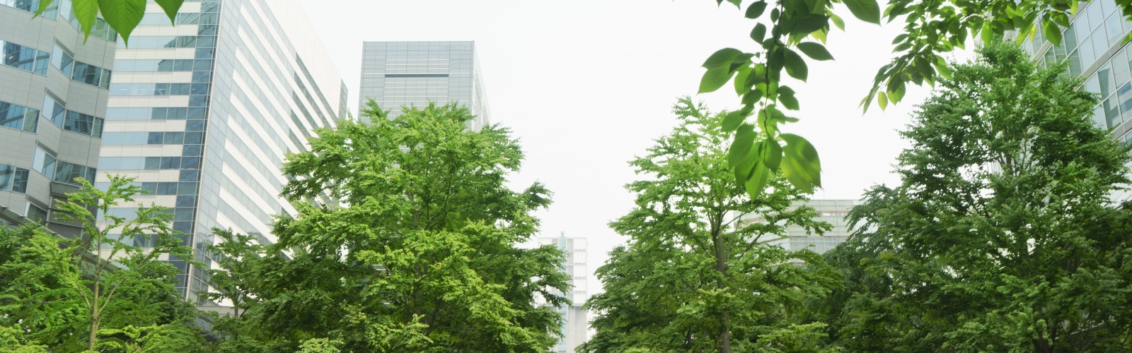 Résilience, diversification et vision long terme