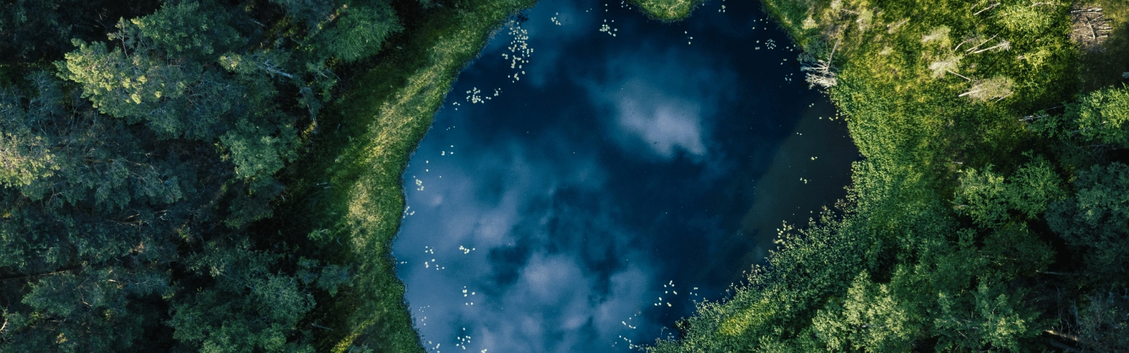 CSRD taxonomie états de durabilité