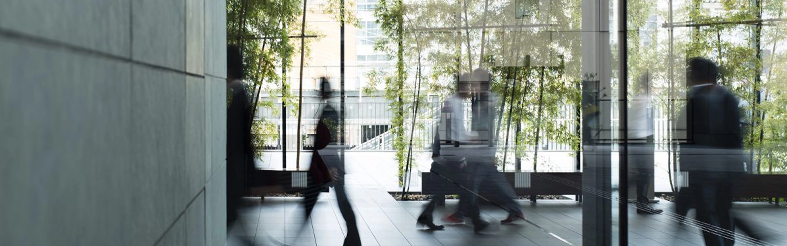 Public Interest Committee - Mazars in Ireland 