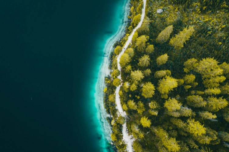 Landing page Sustainability ok