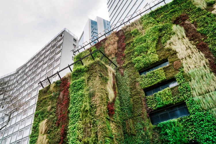 Sustainability services2