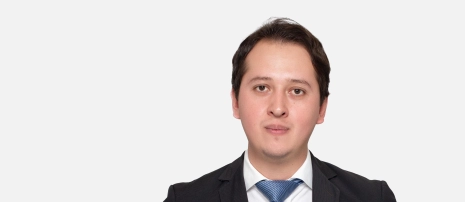 Audit Manager Carlos Eduardo Ortega Arroyo