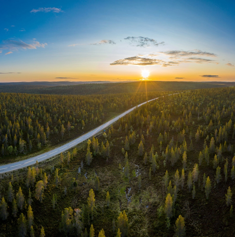 Panoramic landscape with a road crossing a vast forest at sunrise, symbolising perspective and forward-looking vision for the Panorama des entrepreneurs 2026 event.