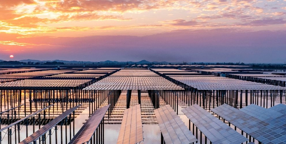 An aerial photo of solar panels at sunset