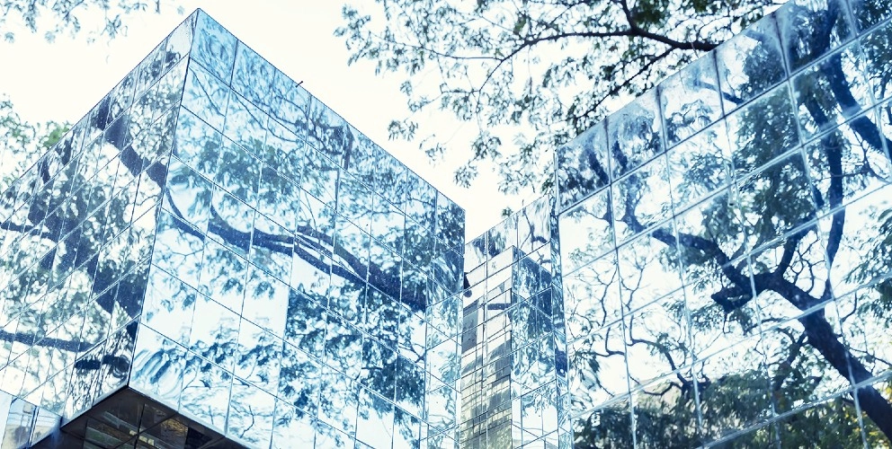 1. Audit and Assurance .jpg