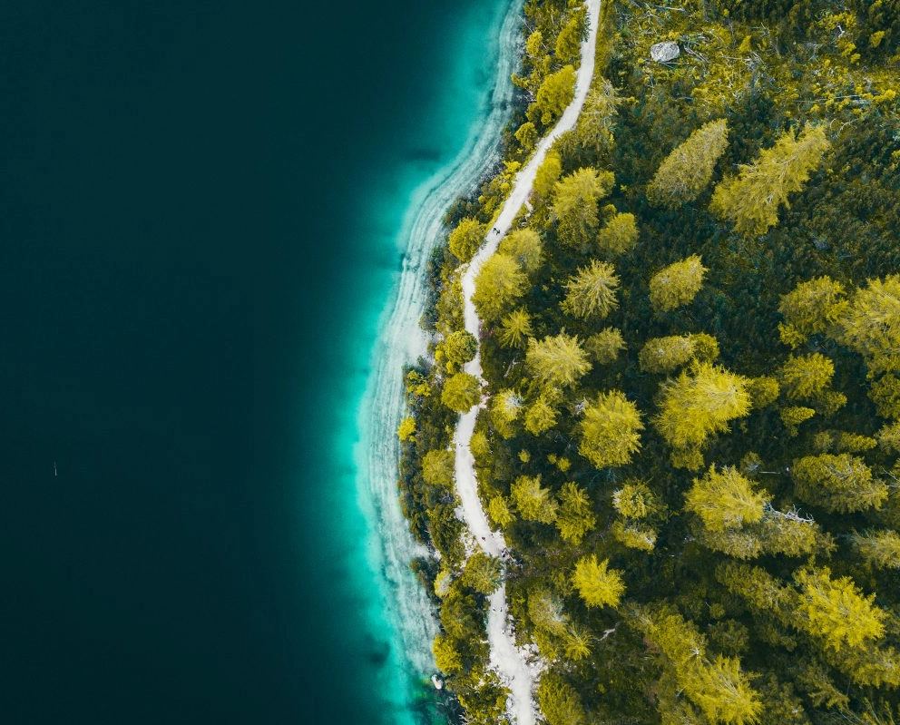 Landing page Sustainability ok