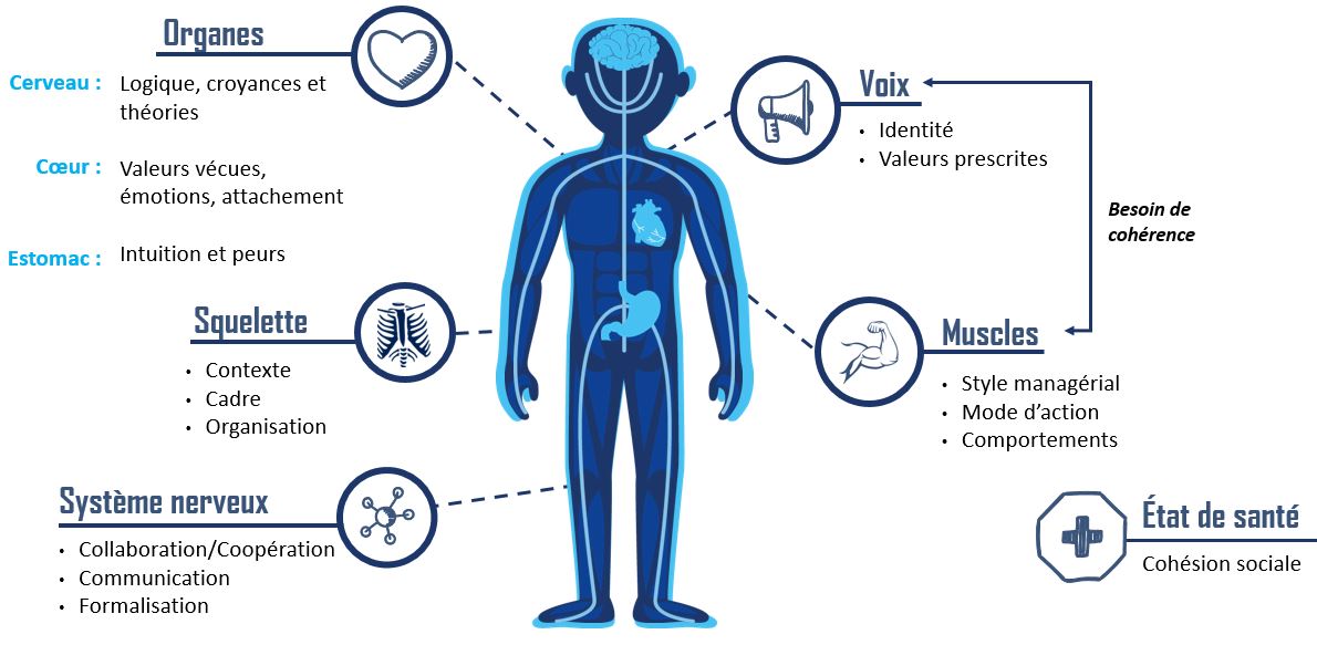 Transformation_culturelle