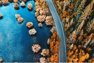 Acting now for whats next