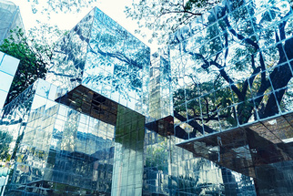 Group report 1920 audit