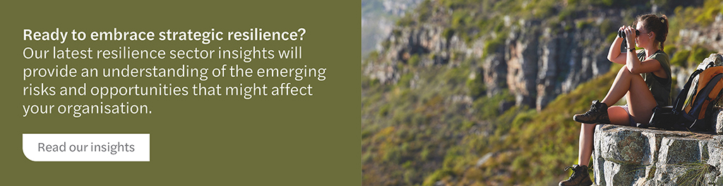Strategic resilience insights banner - web