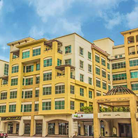 Audit, tax, advisory, and consulting services in Dubai